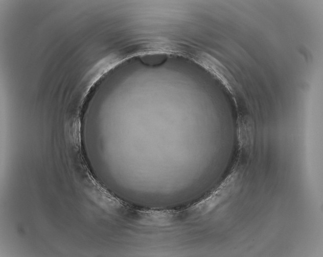 X0000111840781200907301049