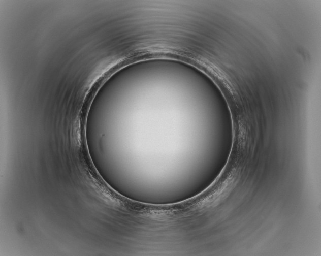 X0000111840782200907301049