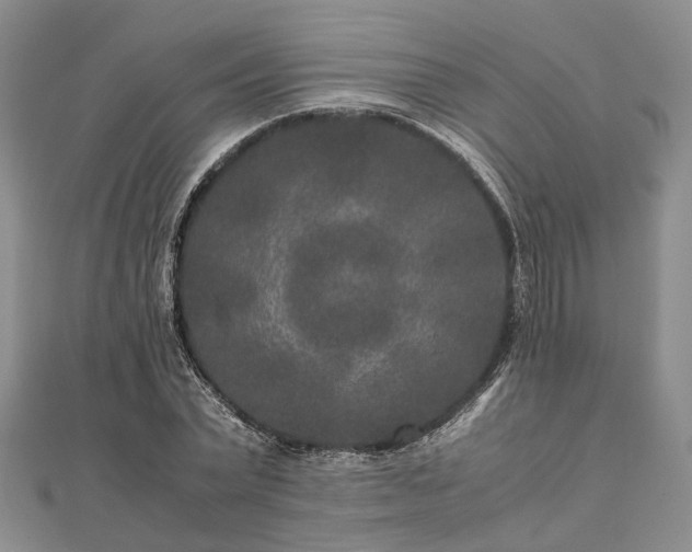 X0000111840783200907301049