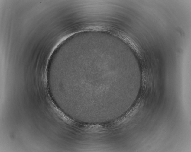 X0000111840784200907301049