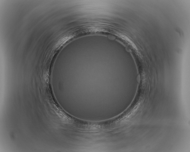 X0000111840785200907301049