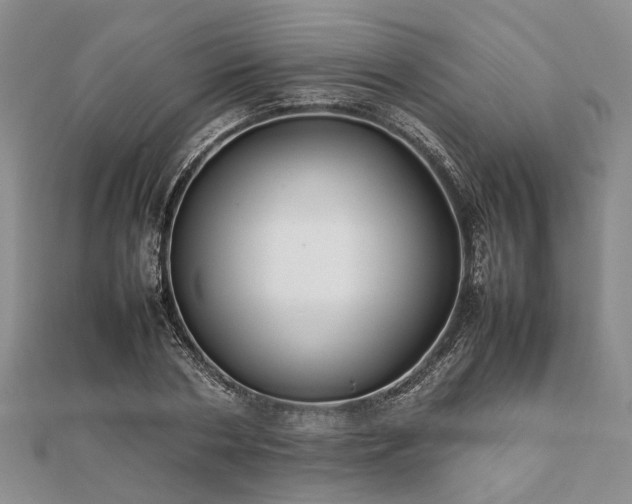 X0000111840786200907301049