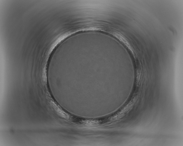 X0000111840789200907301049