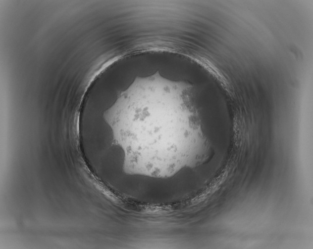 X0000111840790200907301049