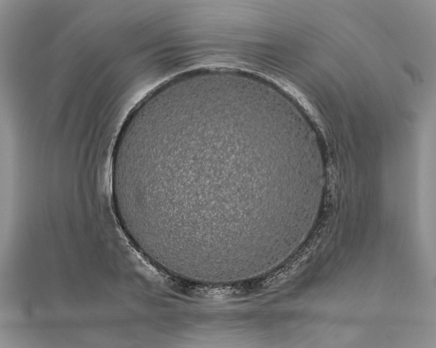 X0000111840791200907301049