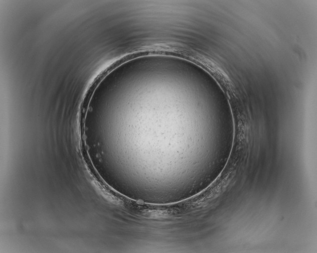 X0000111840792200907301049