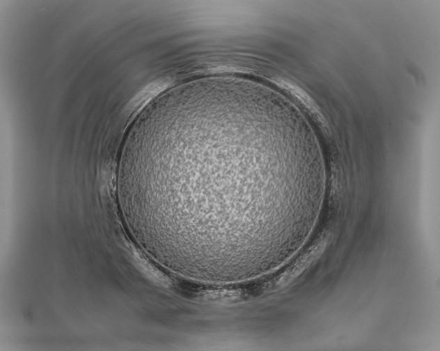 X0000111840793200907301049