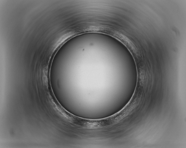 X0000111840794200907301049