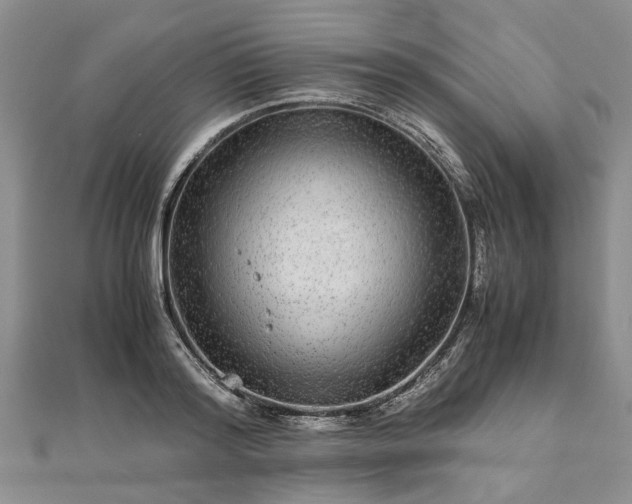 X0000111840796200907301049