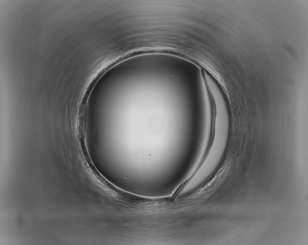 X0000111840797200907301049