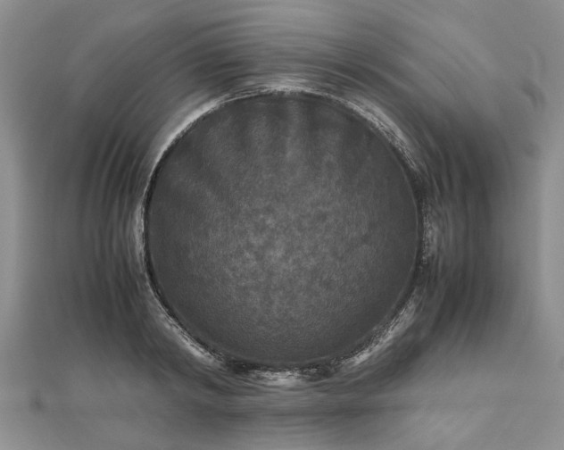 X0000111840798200907301049