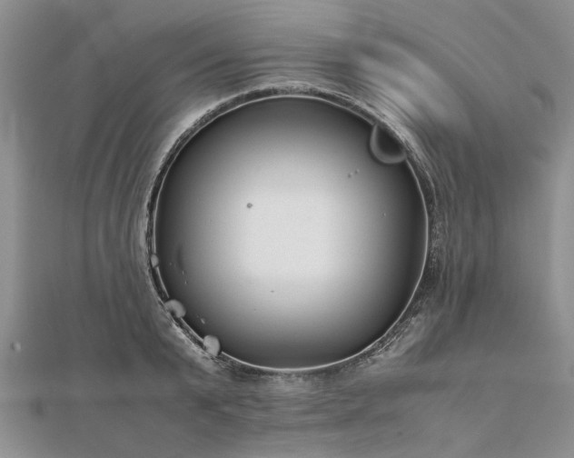 X0000111840799200907301049