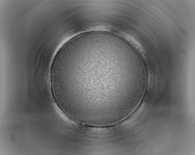 X0000111840800200907301049