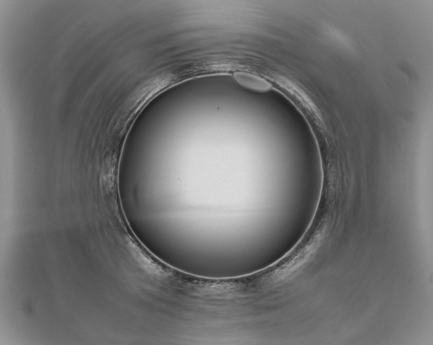 X0000111840801200907301049