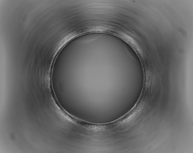 X0000111840802200907301049