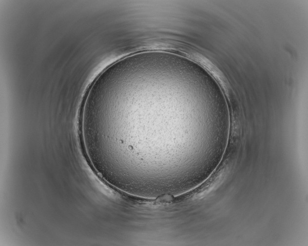 X0000111840803200907301049