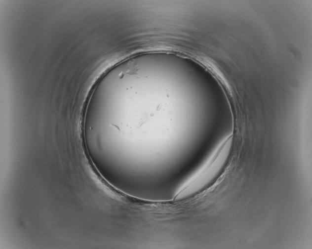 X0000111840805200907301049