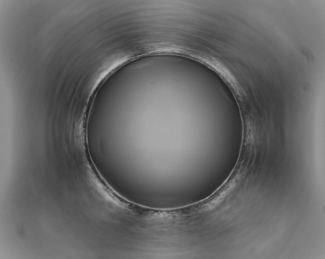 X0000111840806200907301049