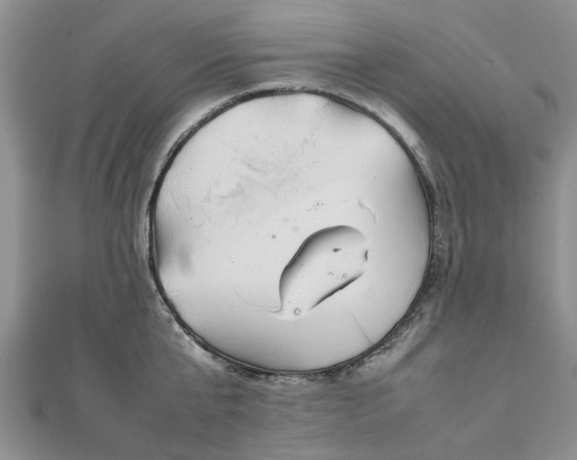 X0000111840807200907301049