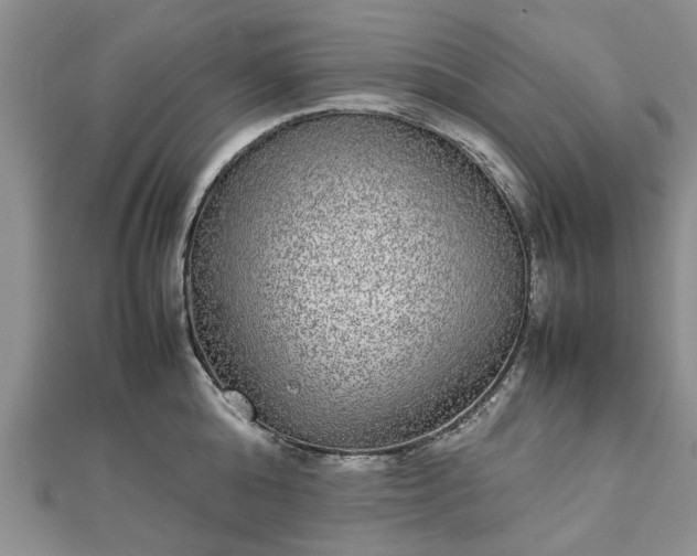 X0000111840808200907301049