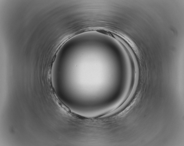 X0000111840809200907301049