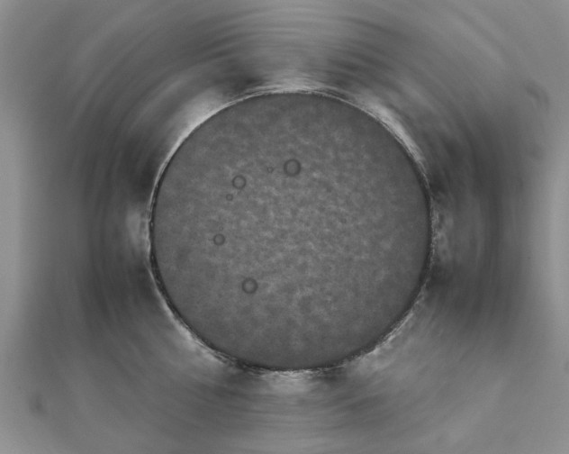 X0000111840810200907301049