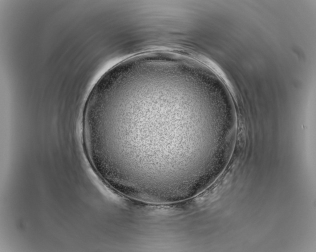 X0000111840811200907301049