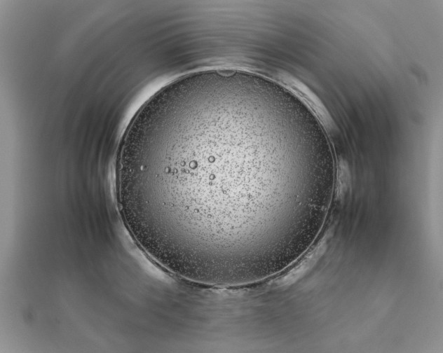 X0000111840812200907301049