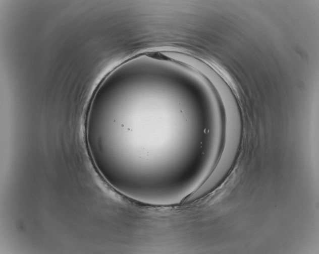 X0000111840813200907301049