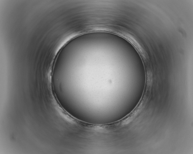 X0000111840814200907301049