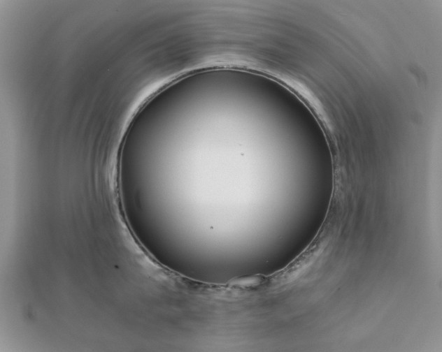 X0000111840815200907301049