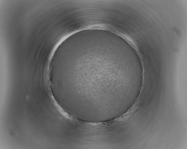 X0000111840816200907301049