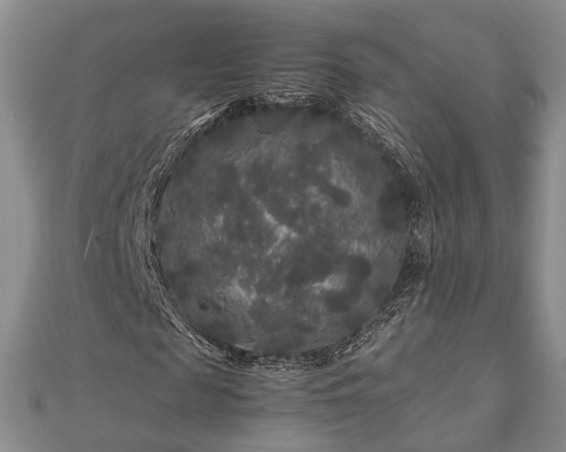 X0000111840817200907301048