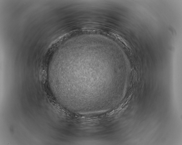 X0000111840821200907301048