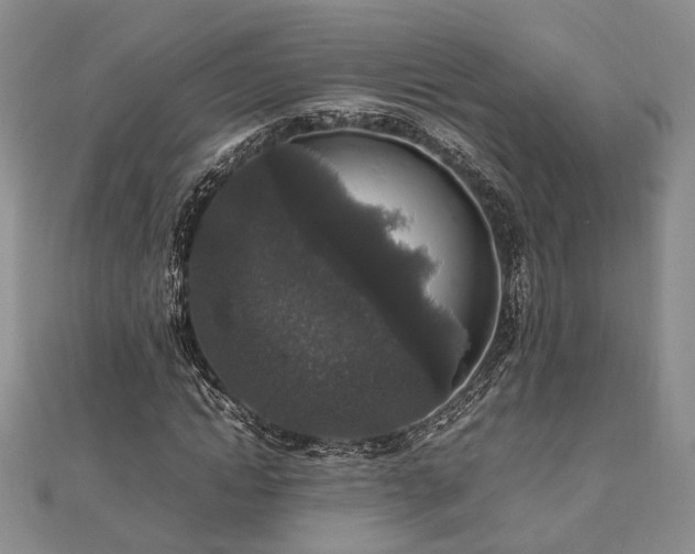 X0000111840822200907301048