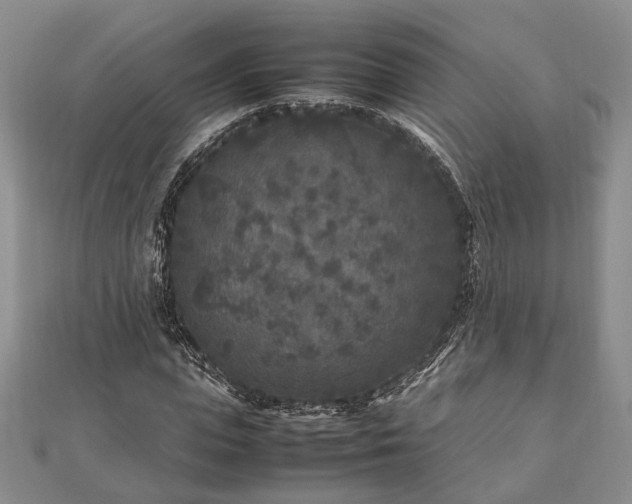 X0000111840823200907301048