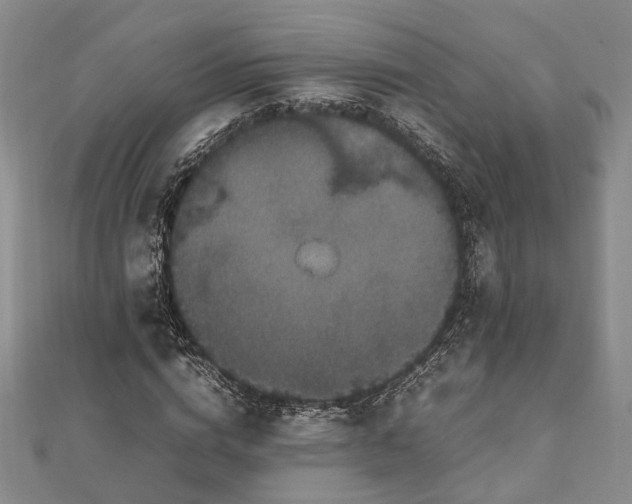 X0000111840824200907301048