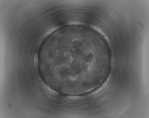 X0000111840825200907301048