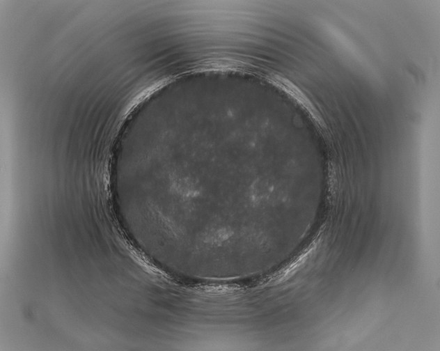 X0000111840826200907301048