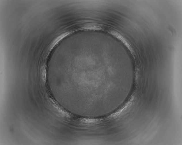 X0000111840829200907301048