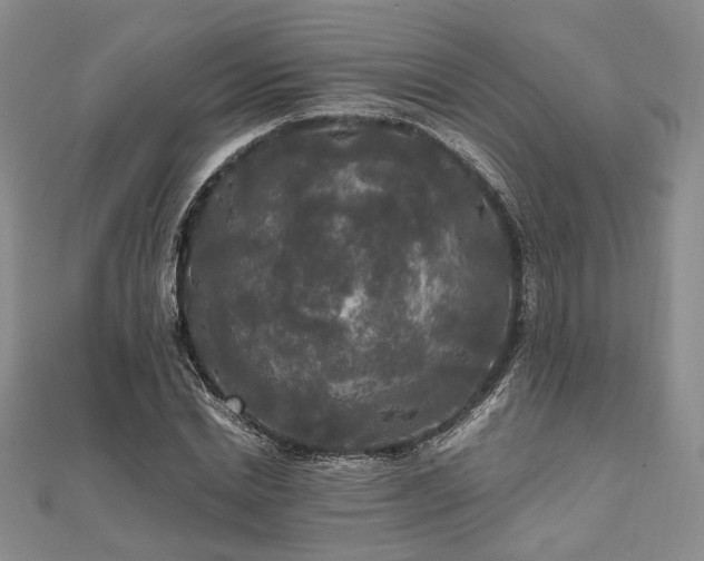 X0000111840830200907301048