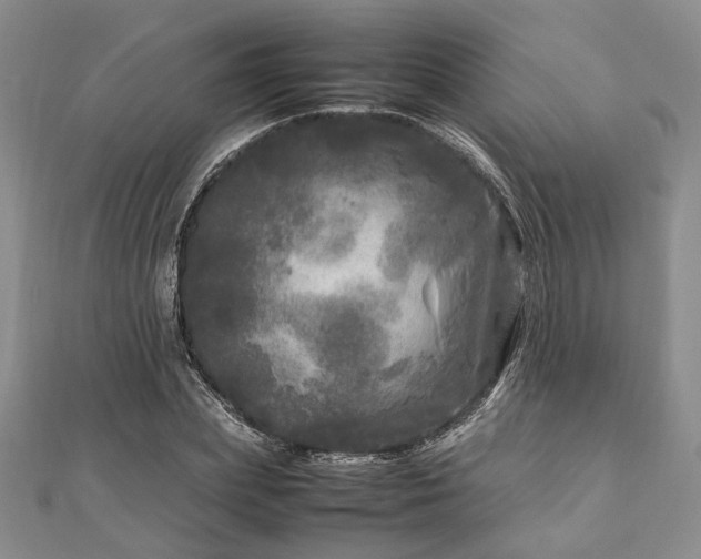 X0000111840831200907301048