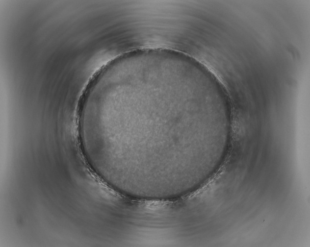 X0000111840832200907301048