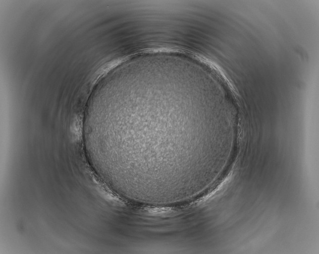 X0000111840833200907301048