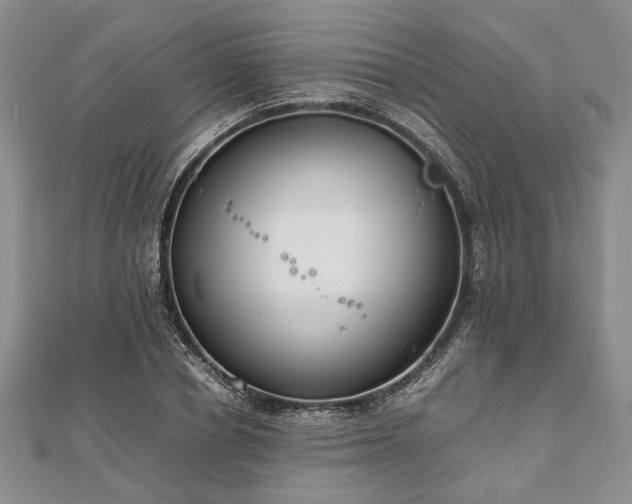 X0000111840834200907301048