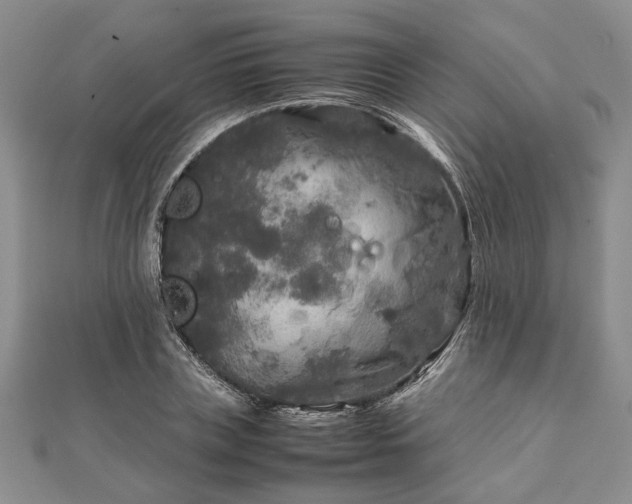 X0000111840835200907301048