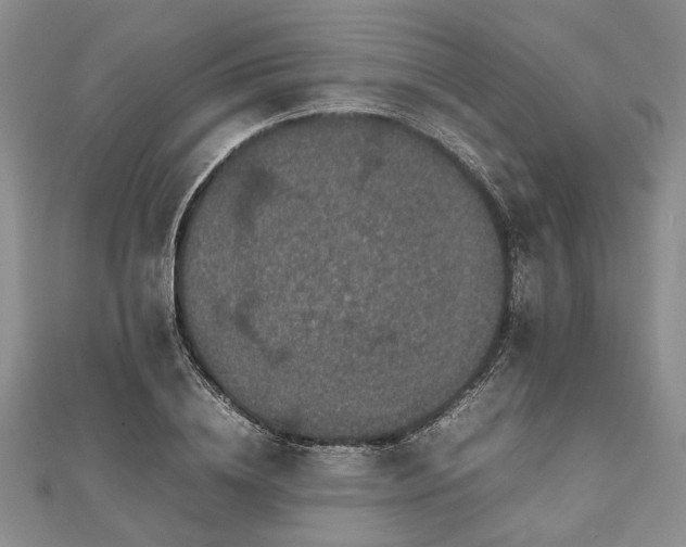 X0000111840836200907301048