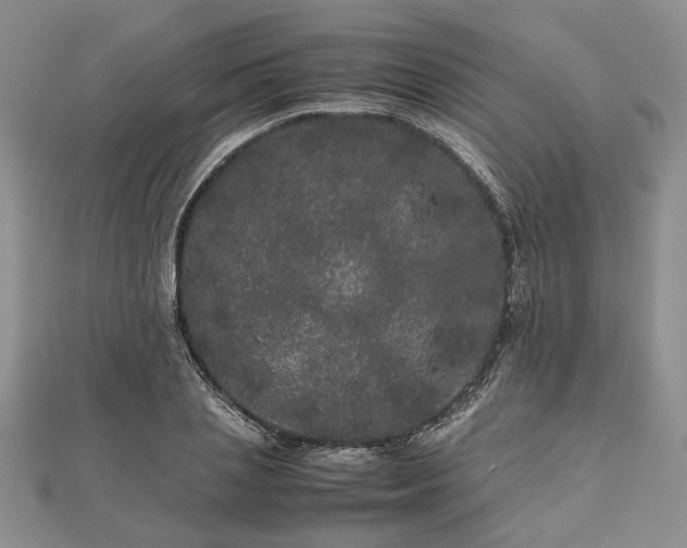 X0000111840837200907301048