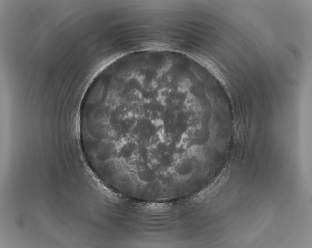 X0000111840839200907301048