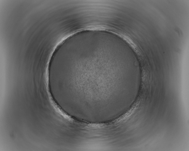 X0000111840840200907301048